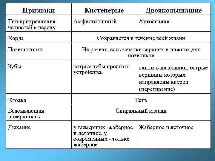 Признаки Тип прикрепления челюстей к черепу Хорда Позвоночник Зубы Кистеперые Амфистиличный Дыхание Аутостилия Сохраняется