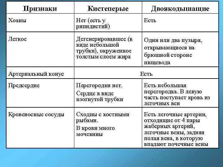 Признаки Кистеперые Двоякодышащие Хоаны Нет (есть у рипидистий) Есть Легкое Дегенерировавшее (в виде небольшой