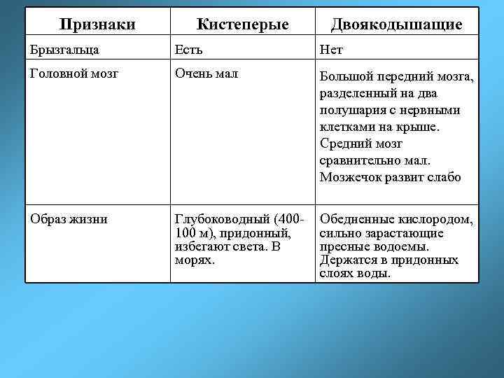 Признаки Кистеперые Двоякодышащие Брызгальца Есть Нет Головной мозг Очень мал Большой передний мозга, разделенный