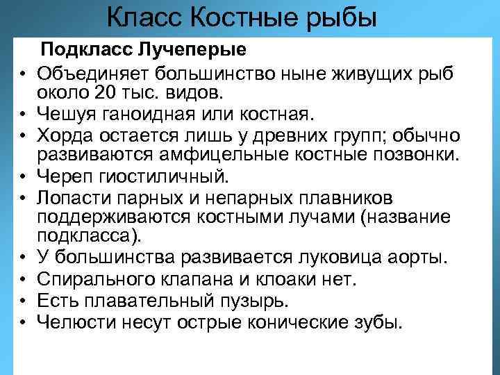 Класс Костные рыбы • • • Подкласс Лучеперые Объединяет большинство ныне живущих рыб около