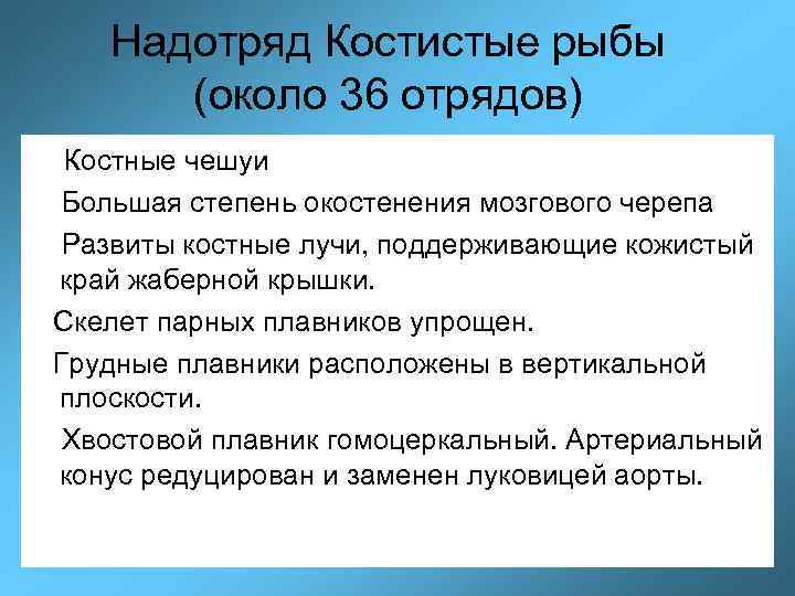 Надотряд Костистые рыбы (около 36 отрядов) Костные чешуи Большая степень окостенения мозгового черепа Развиты