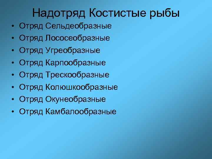 Надотряд Костистые рыбы • • Отряд Сельдеобразные Отряд Лососеобразные Отряд Угреобразные Отряд Карпообразные Отряд