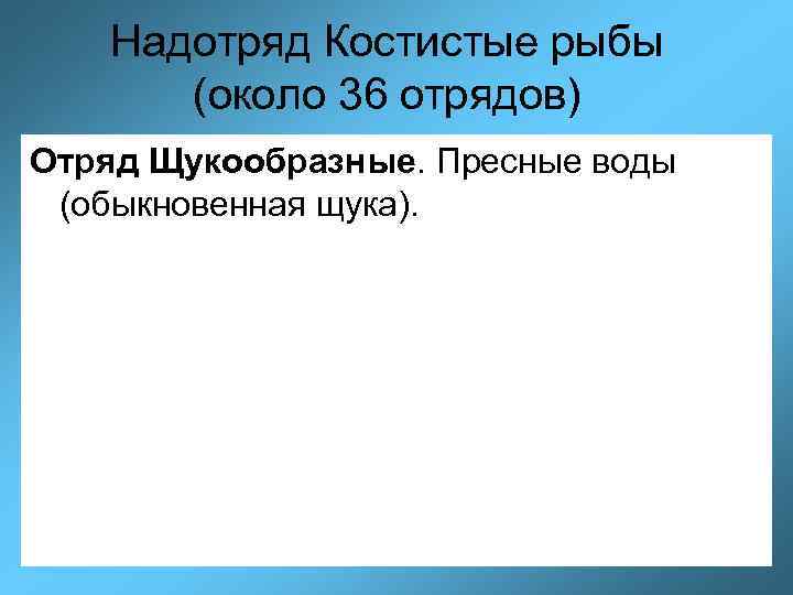 Надотряд Костистые рыбы (около 36 отрядов) Отряд Щукообразные. Пресные воды (обыкновенная щука). 