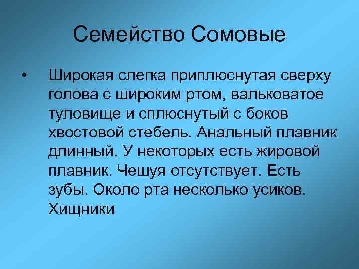 Семейство Сомовые • Широкая слегка приплюснутая сверху голова с широким ртом, вальковатое туловище и