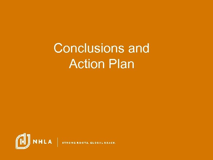 Conclusions and Action Plan 