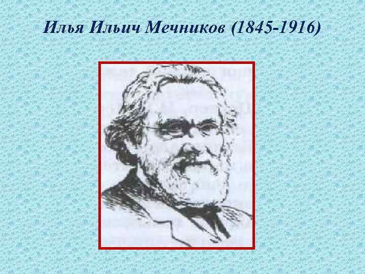 Илья Ильич Мечников (1845 -1916) 