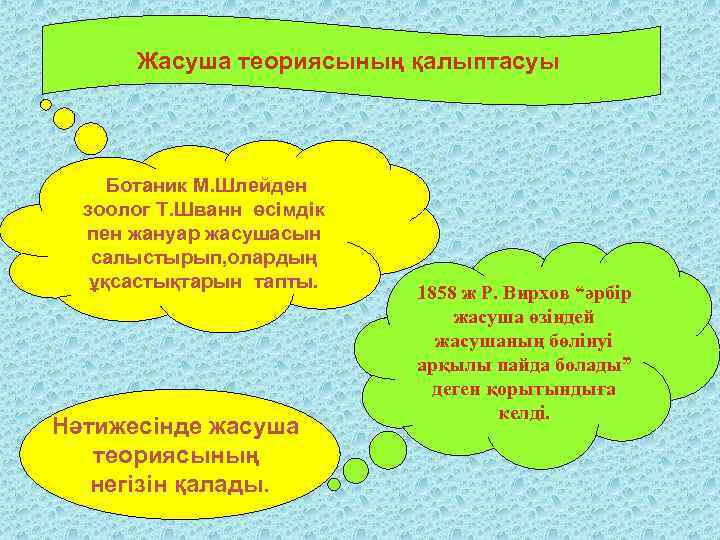 Жасуша теориясының қалыптасуы Ботаник М. Шлейден зоолог Т. Шванн өсімдік пен жануар жасушасын салыстырып,