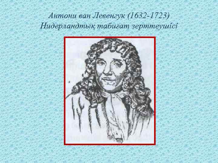 Антони ван Левенгук (1632 -1723) Нидерландтық табиғат зерттеушісі 