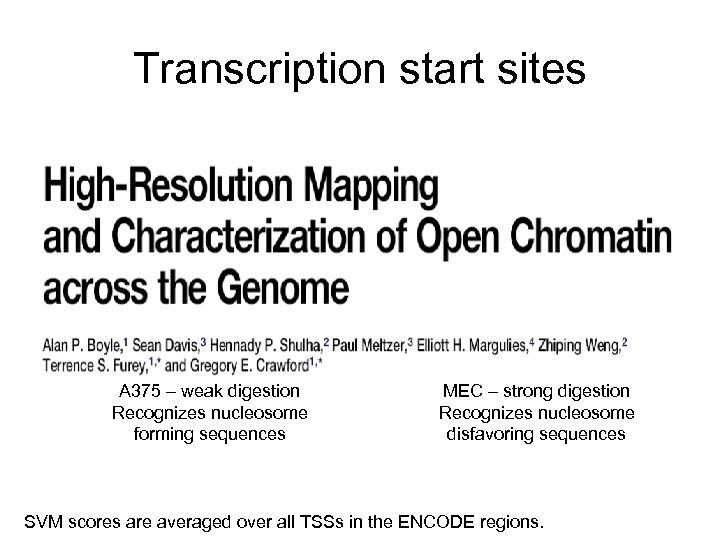 Transcription start sites A 375 – weak digestion Recognizes nucleosome forming sequences MEC –