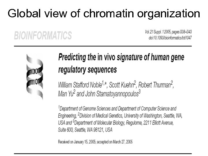 Global view of chromatin organization 