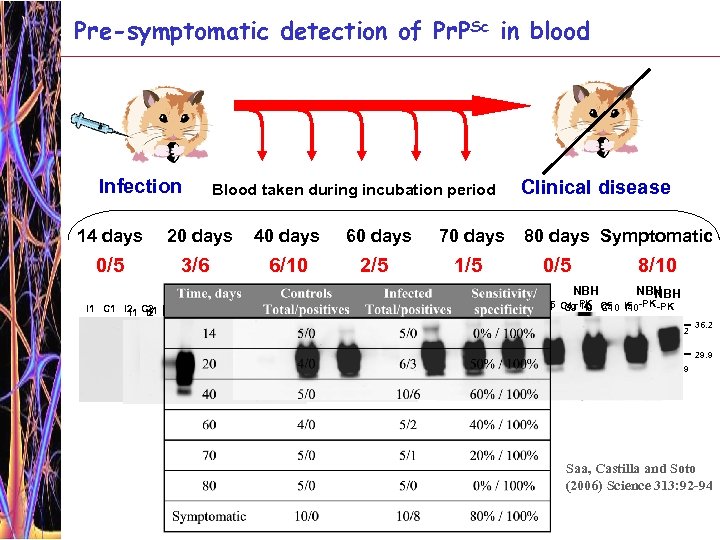 Pre-symptomatic detection of Pr. PSc in blood Infection Blood taken during incubation period 14