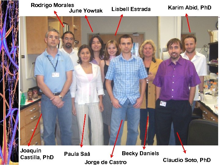 Rodrigo Morales June Yowtak Joaquín Castilla, Ph. D Lisbell Estrada Karim Abid, Ph. D