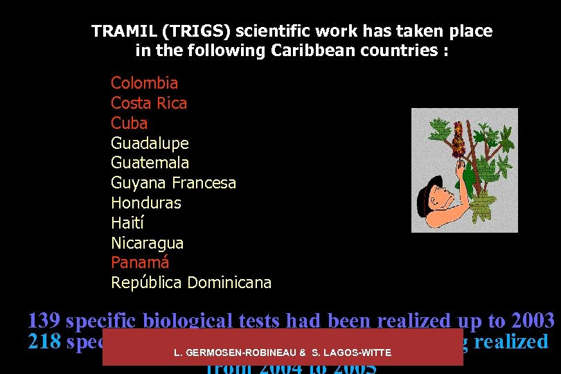 TRAMIL (TRIGS) scientific work has taken place in the following Caribbean countries : Colombia