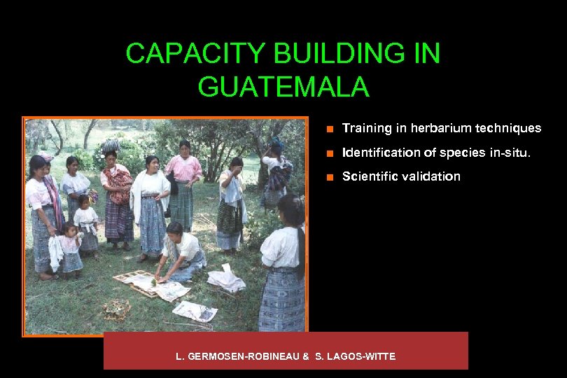 CAPACITY BUILDING IN GUATEMALA ¢ Training in herbarium techniques ¢ Identification of species in-situ.