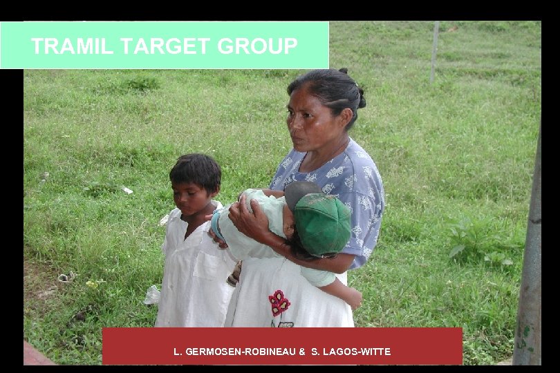 TRAMIL TARGET GROUP L. GERMOSEN-ROBINEAU & S. LAGOS-WITTE 