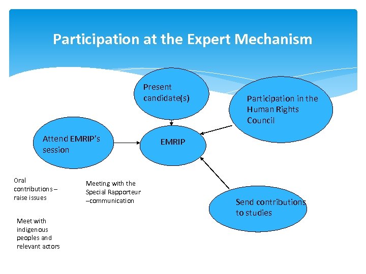 Participation at the Expert Mechanism Present candidate(s) Attend EMRIP’s session Oral contributions – raise