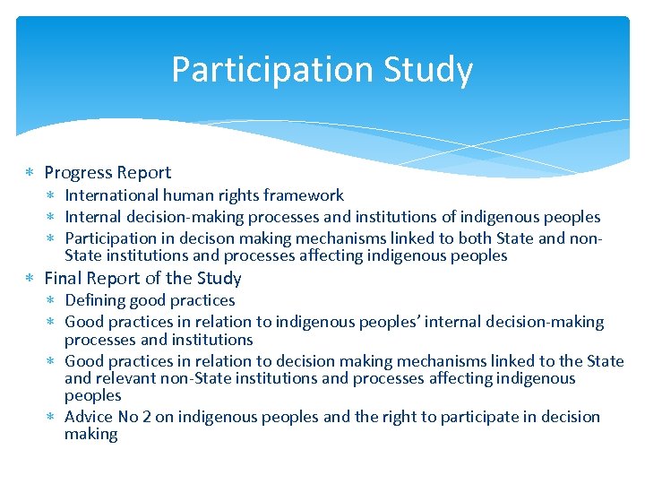 Participation Study Progress Report International human rights framework Internal decision-making processes and institutions of
