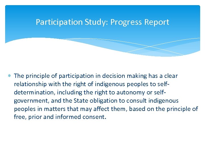 Participation Study: Progress Report The principle of participation in decision making has a clear