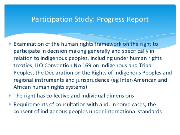 Participation Study: Progress Report Examination of the human rights framework on the right to