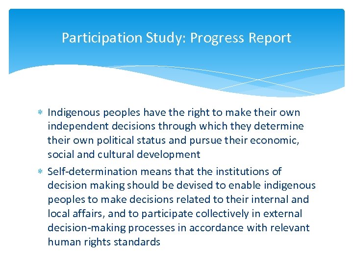 Participation Study: Progress Report Indigenous peoples have the right to make their own independent