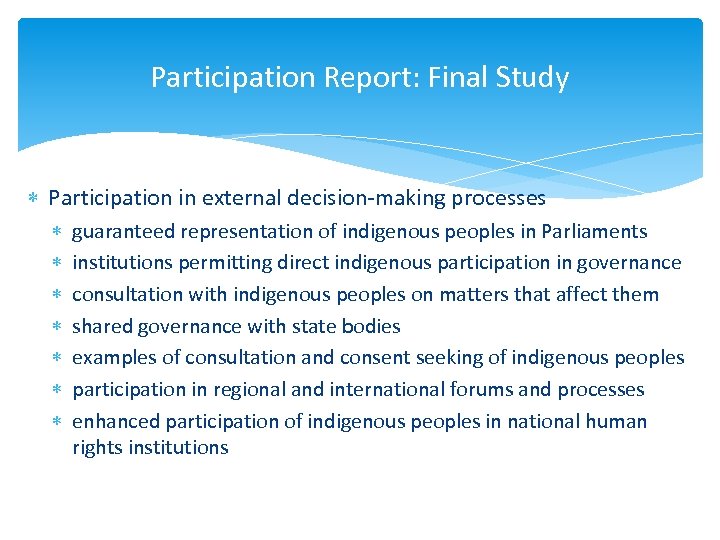 Participation Report: Final Study Participation in external decision-making processes guaranteed representation of indigenous peoples