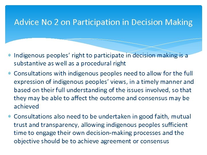Advice No 2 on Participation in Decision Making Indigenous peoples’ right to participate in