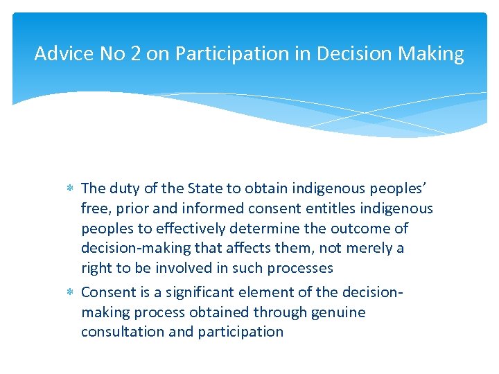 Advice No 2 on Participation in Decision Making The duty of the State to