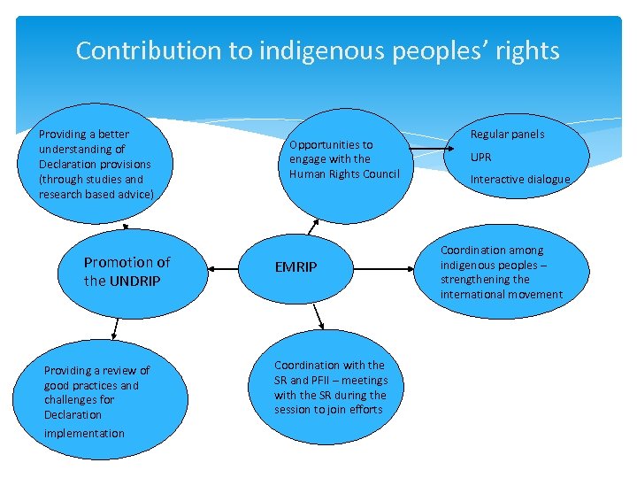 Contribution to indigenous peoples’ rights Providing a better understanding of Declaration provisions (through studies