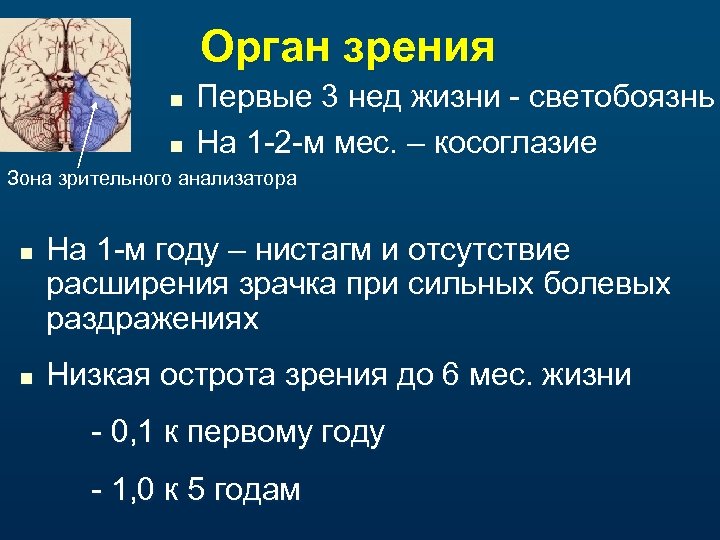 Орган зрения n n Первые 3 нед жизни - светобоязнь На 1 -2 -м