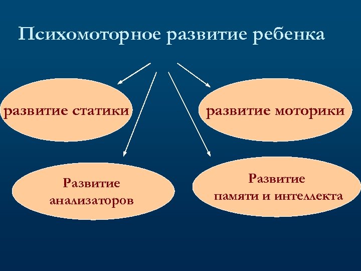 Психомоторное развитие ребенка развитие статики Развитие анализаторов развитие моторики Развитие памяти и интеллекта 