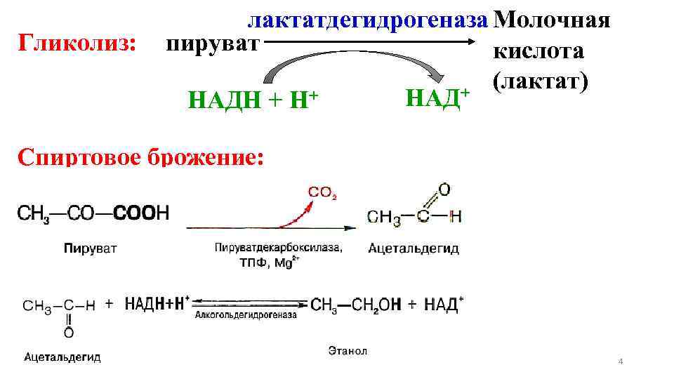 Схема реакций от глицерина до молочной кислоты