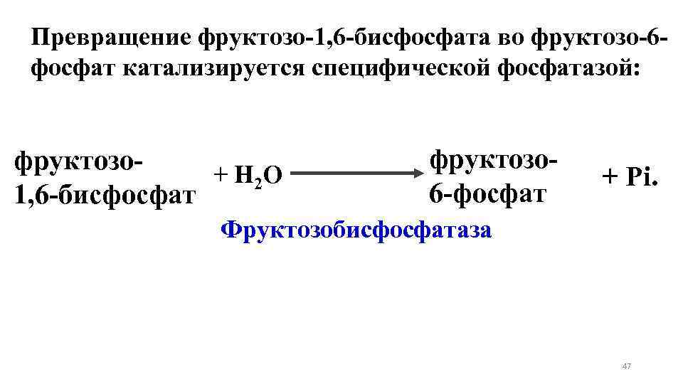 Превращение фруктозо-1, 6 -бисфосфата во фруктозо-6 фосфат катализируется специфической фосфатазой: фруктозо+ Н 2 О