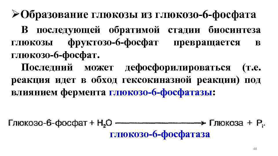 ØОбразование глюкозы из глюкозо-6 -фосфата В последующей обратимой стадии биосинтеза глюкозы фруктозо-6 -фосфат превращается