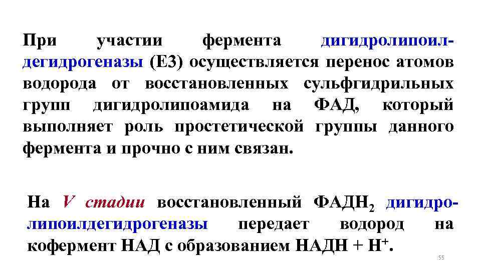При участии фермента дигидролипоилдегидрогеназы (Е 3) осуществляется перенос атомов водорода от восстановленных сульфгидрильных групп