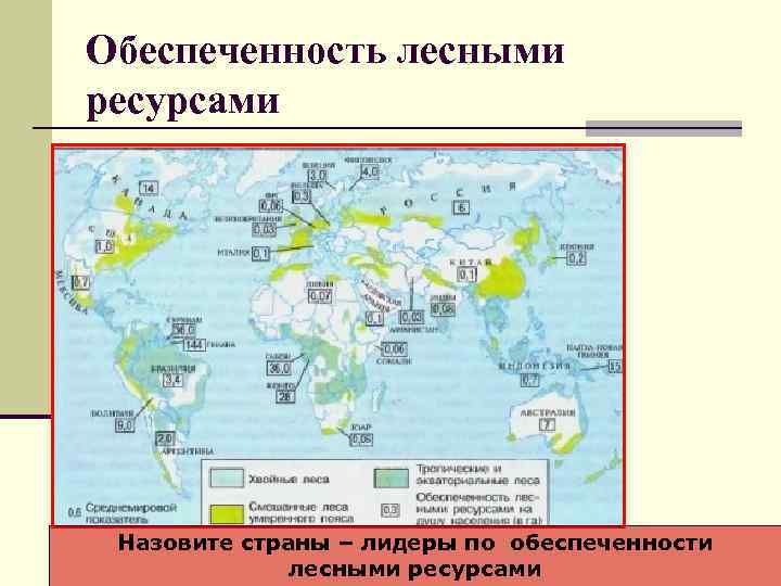 Обеспеченность лесными ресурсами Назовите страны – лидеры по обеспеченности лесными ресурсами 
