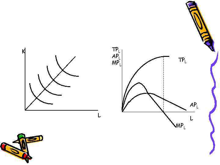 TPL APL MPL K TPL APL L MPL L 