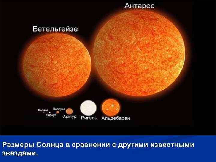 Размеры Солнца в сравнении с другими известными звездами. 