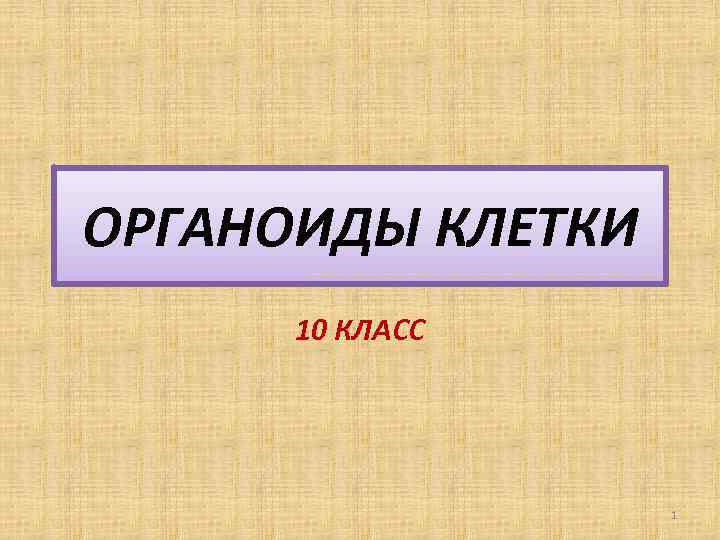 ОРГАНОИДЫ КЛЕТКИ 10 КЛАСС 1 