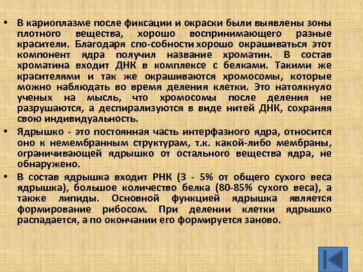  • В кариоплазме после фиксации и окраски были выявлены зоны плотного вещества, хорошо