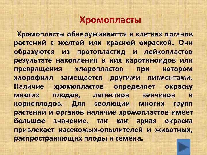 Хромопласты обнаруживаются в клетках органов растений с желтой или красной окраской. Они образуются из