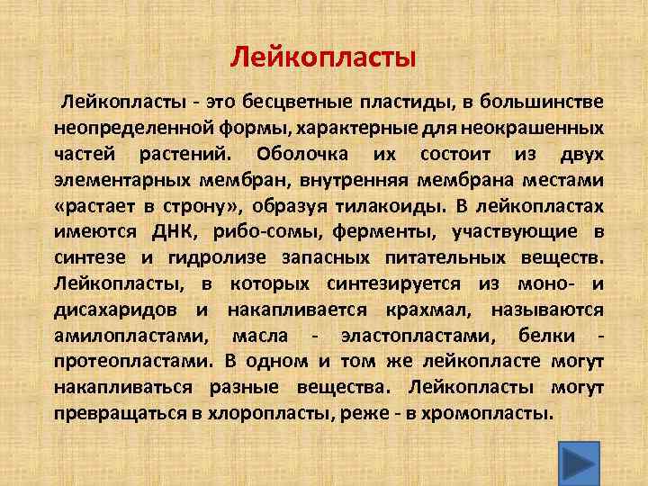 Лейкопласты это бесцветные пластиды, в большинстве неопределенной формы, характерные для неокрашенных частей растений. Оболочка