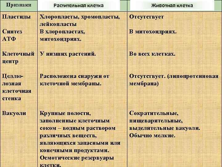 Признаки Пластиды Синтез АТФ Растительная клетка Хлоропласты, хромопласты, лейкопласты В хлоропластах, митохондриях. Животная клетка