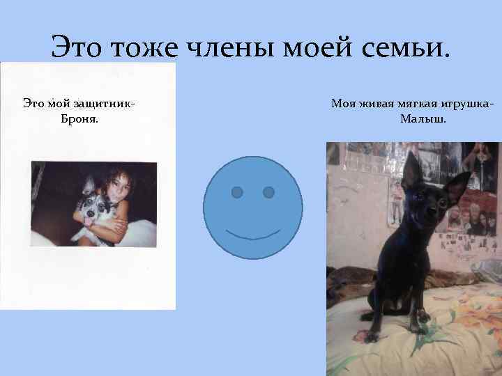 Это тоже члены моей семьи. Это мой защитник. Броня. Моя живая мягкая игрушка. Малыш.