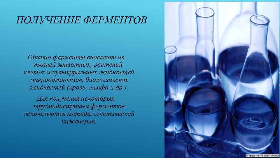 ПОЛУЧЕНИЕ ФЕРМЕНТОВ Обычно ферменты вьделяют из тканей животных, растений, клеток и культуральных жидкостей микроорганизмов,