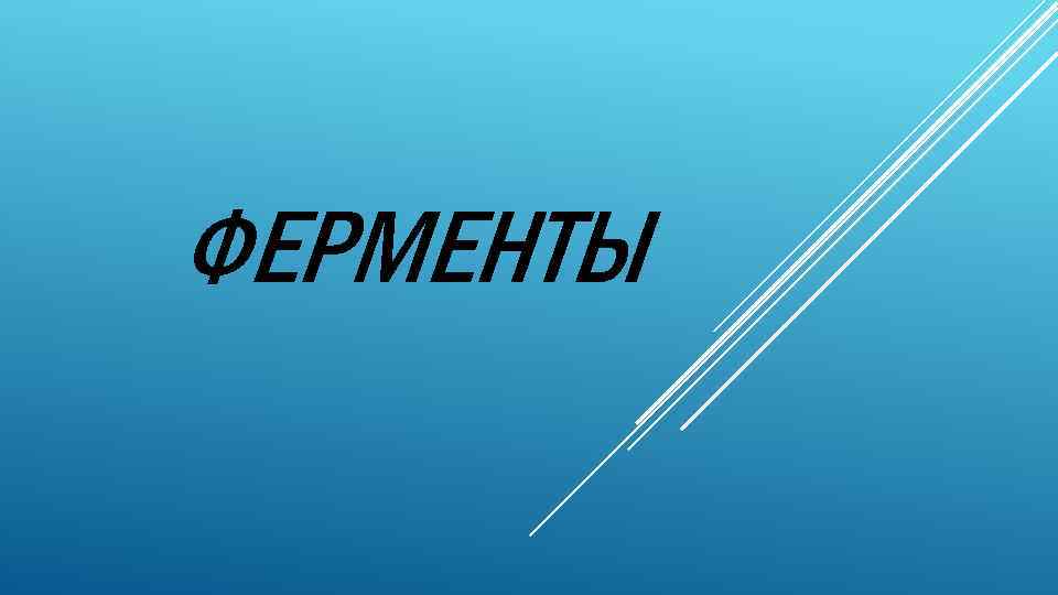 ФЕРМЕНТЫ 