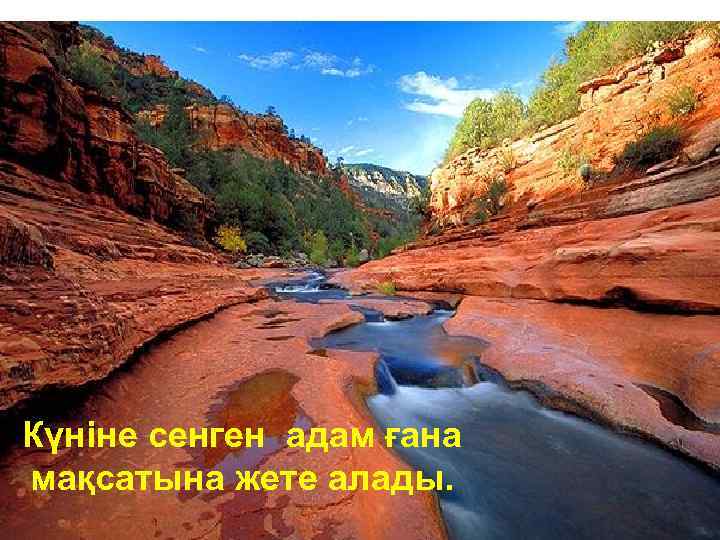 Күніне сенген адам ғана мақсатына жете алады. 