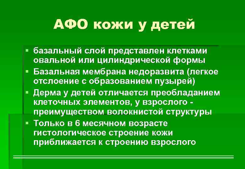 АФО кожи у детей § базальный слой представлен клетками овальной или цилиндрической формы §