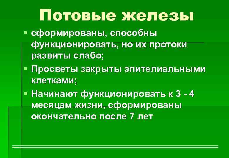 Потовые железы § сформированы, способны функционировать, но их протоки развиты слабо; § Просветы закрыты