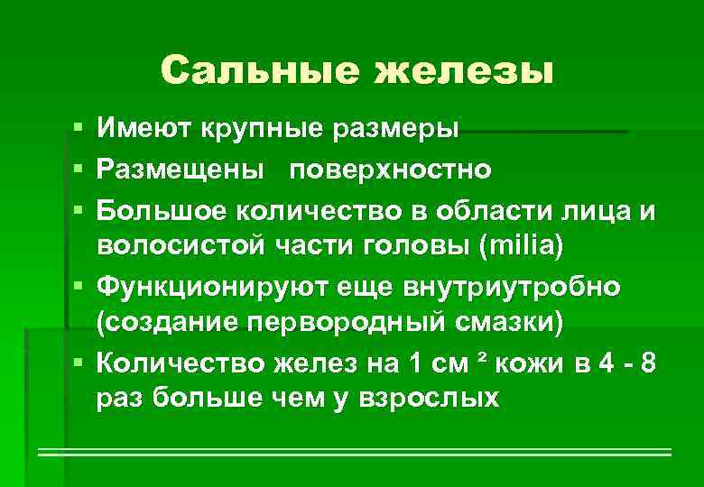 Сальные железы § § § Имеют крупные размеры Размещены поверхностно Большое количество в области