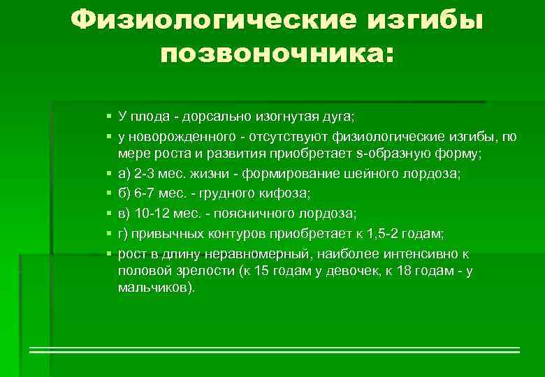 Физиологические изгибы позвоночника: § У плода - дорсально изогнутая дуга; § у новорожденного -